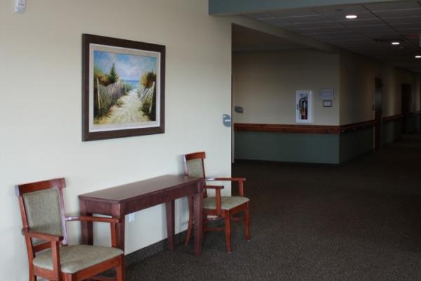 Environment Photo